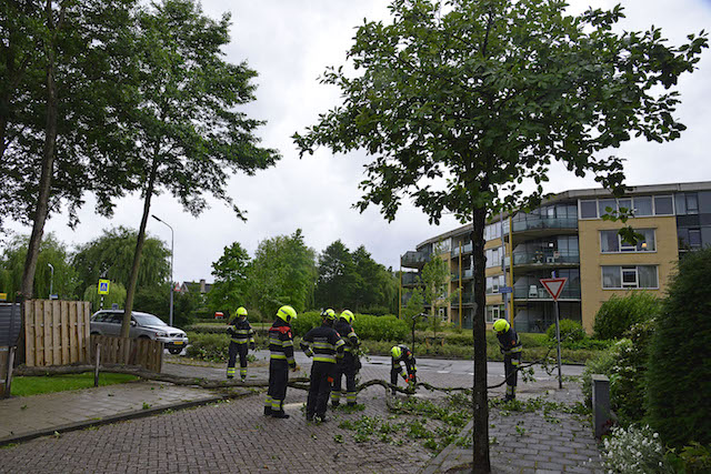 2017/119/20170606-18u52 GB 006 Stormschade Newtonstraat.jpg